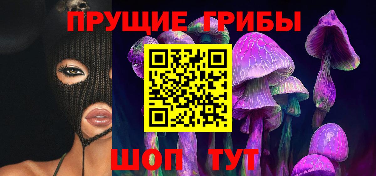 Балашов  Псилоцибиновые грибы Psilocybe  Вход с VPN  Галлюциногенные грибы мухоморы 