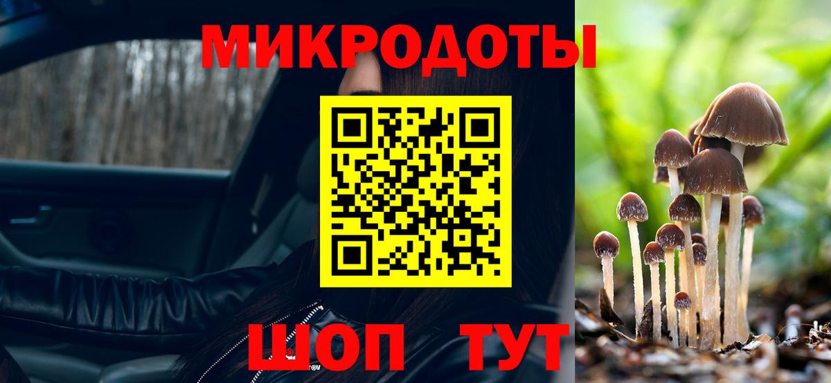 Галлюциногенные грибы мицелий Балашов