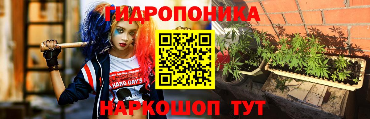 Конопля марихуана Балашов